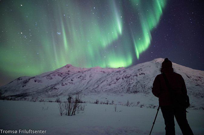 Northern Lights Chase with Authentic North Norwegian Charm - Warm overalls, drinks, cake, and a fire