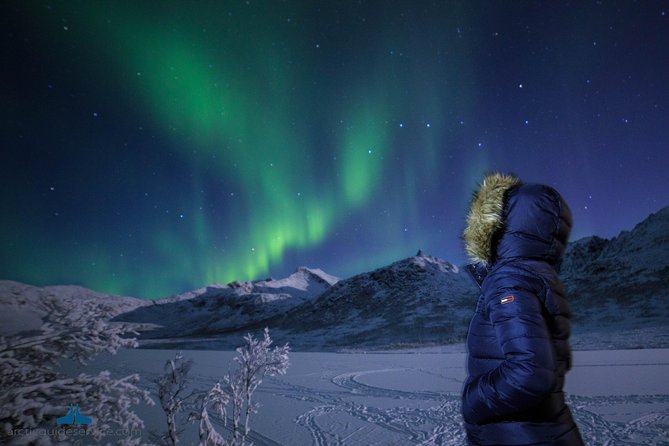 - Northern Lights Chase with Photo Package Included - Why the guides matter so much