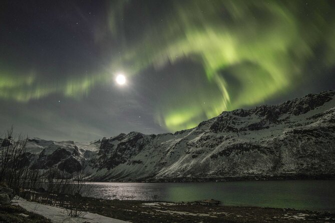 Northern Lights Chase with Photography from Tromsø - Cold-weather comfort, hot drinks, and waiting outside