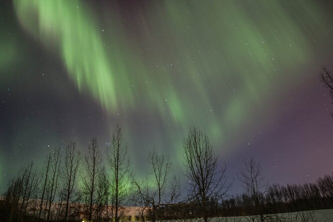Northern Lights Classic MiniBus Tour from Akureyri - Pickup from Akureyri hotels and central meeting points