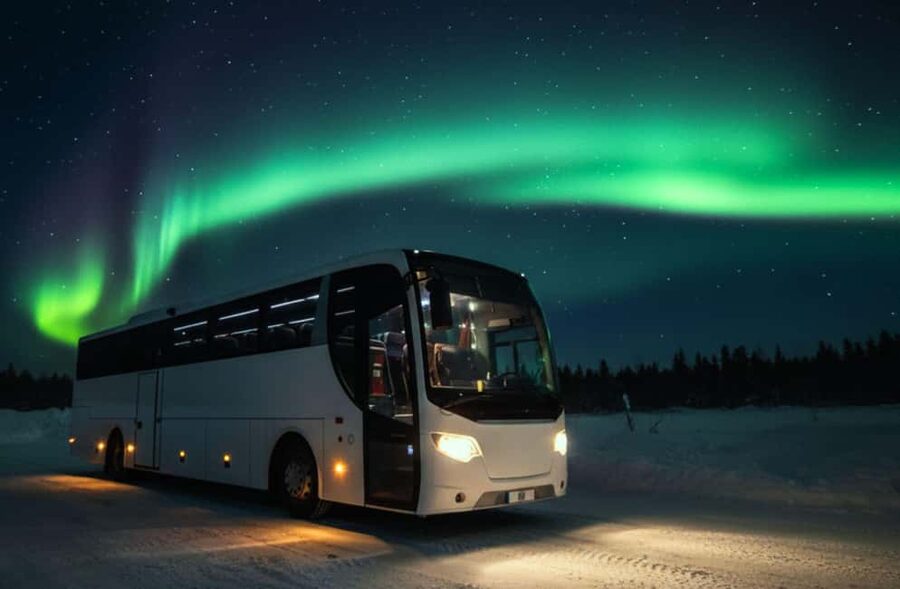 Northern Lights: Cozy Night Adventure with Hot Chocolate - A four-hour search for the aurora