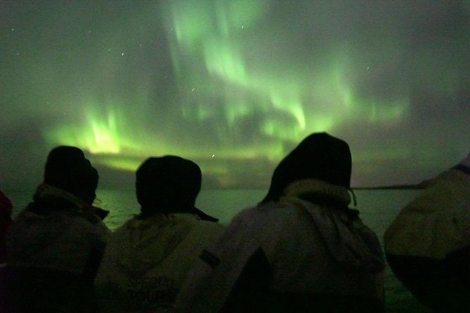 Northern Lights Cruise from Reykjavik Including Photos - Who Will Like This Cruise Most