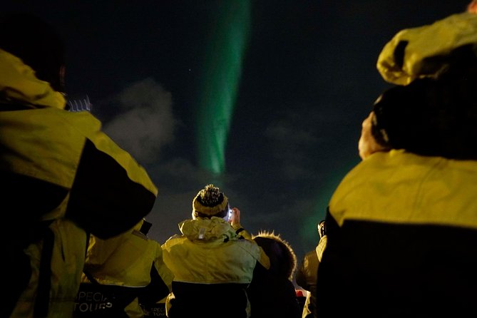 Northern Lights Cruise from Reykjavik Including Photos - Seeing the Lights, or Waiting for Them