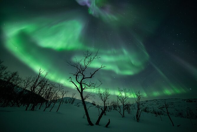 Northern Lights Expedition Tromsø - 6 people - Arctic Photo Guide - What happens once the route is chosen