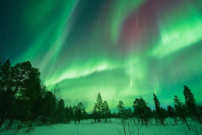 Northern Lights Hunt with The Green Adventure - photos included - Meeting at Scandic Ishavshotel