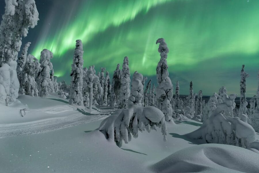 Northern Lights Hunting with Aurora Workshop - Key points at a glance