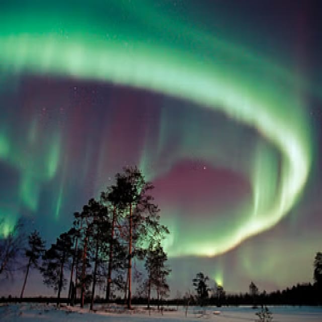 Northern Lights Hunting with Aurora Workshop - Booking details worth checking