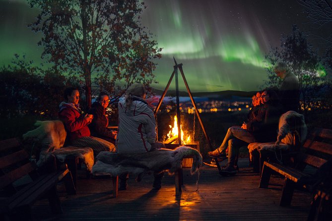Northern Lights Husky Visit - What this Tromsø husky evening really is