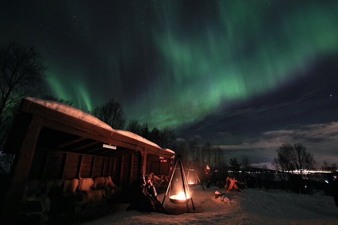 Northern Lights Husky Visit - Arriving at the Radisson Blu at 6:45 pm