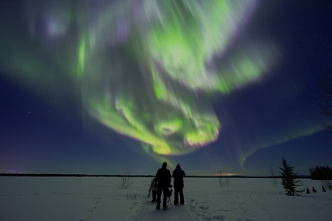 Northern Lights Lodge & Chase Tour from Fairbanks - Key points before you book