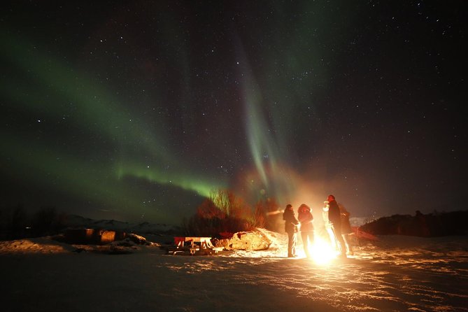 Northern Lights Photography Tour - Who Should Book This Outing?