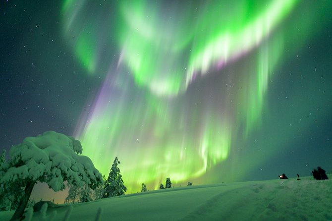Northern Lights Photography Tour from Rovaniemi - Key points at a glance
