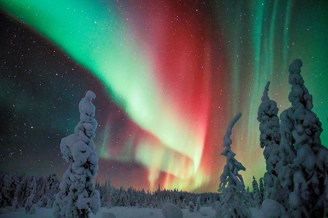 Northern Lights Photography Tour from Rovaniemi - Getting ready at Lapland Welcome