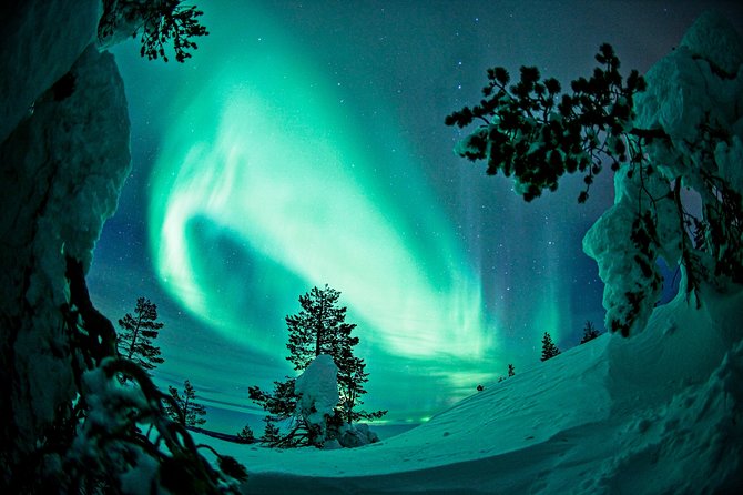 Northern Lights Photography Tour from Rovaniemi - What happens while you wait
