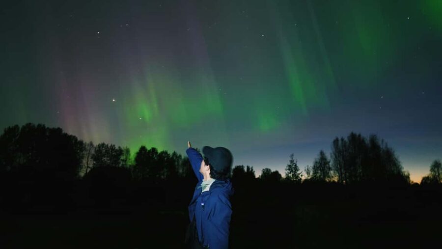 Northern Lights photography tour with BBQ - Who will enjoy this short Lapland outing?