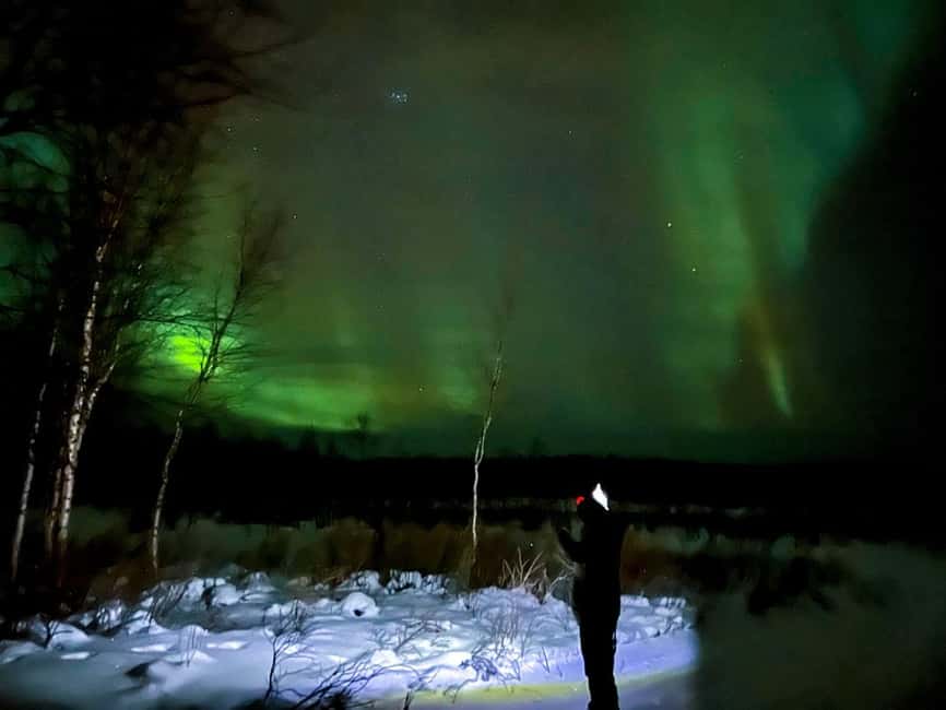 Northern lights private tour Rovaniemi - Key points to know before booking