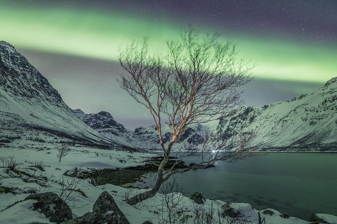 Northern Lights Private tour with your special ones - Greenlander - Why a private group changes the night