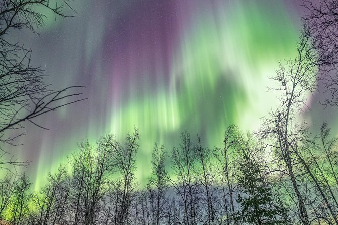 Northern Lights Private tour with your special ones - Greenlander - Fireside food and warm drinks