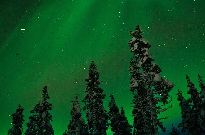 Northern Lights Reindeer Sledge Ride - Dressing for a dark, cold ride
