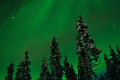 Northern Lights Reindeer Sledge Ride