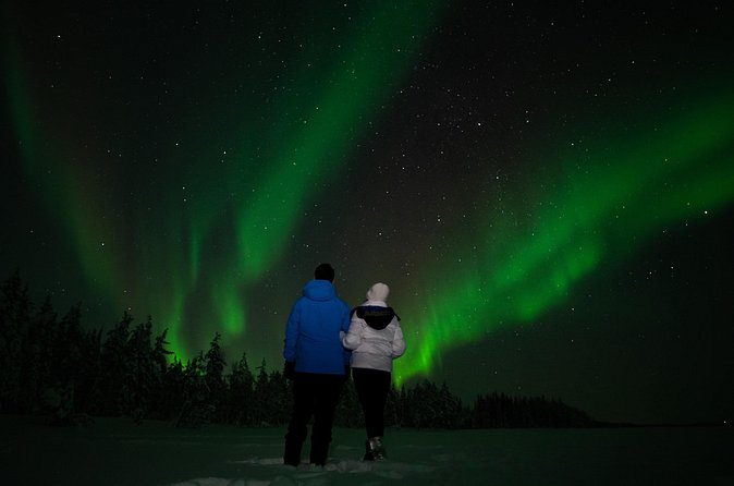 Northern Lights Reindeer Sledge Ride - The reindeer sledge ride through the snow