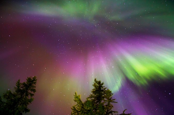 Northern Lights Reindeer Sledge Ride - Northern lights: treat the sky as a bonus