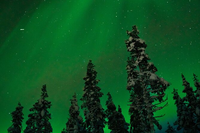 Northern Lights Reindeer Sledge Ride - Getting to the meeting point in Rovaniemi