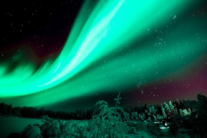 Northern Lights Rovaniemi: Guaranteed Viewing & Unlimited Mileage - The night itself: driving, waiting, and watching