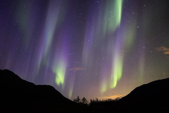 Northern Lights Safari from Tromso - Karina, persistence, and the human side of the tour