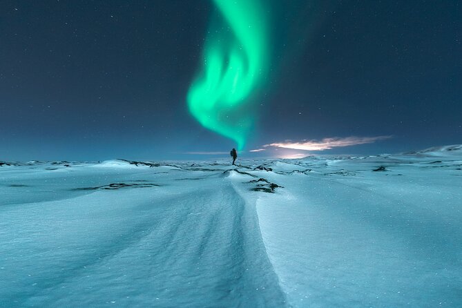 Northern Lights Small-Group Tour with Free Photos & Hot Chocolate - How the $118.27 Price Holds Up