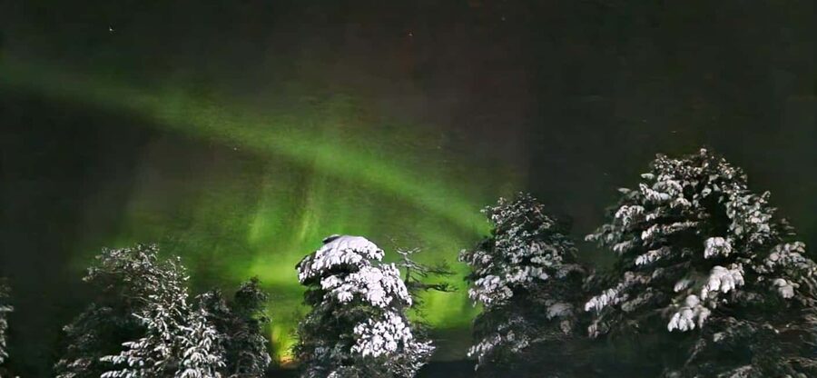 Northern Lights Snowshoe Hike in Levi with Latvian Guide - Key points at a glance