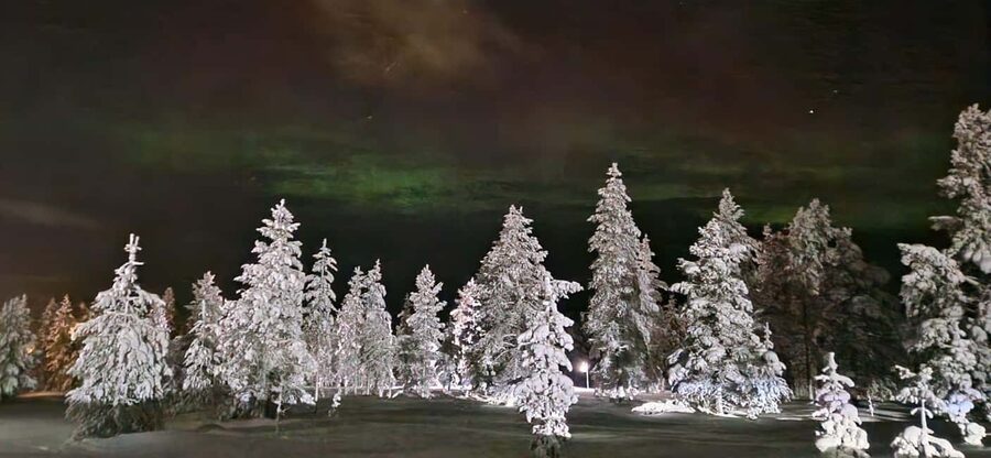 Northern Lights Snowshoe Hike in Levi with Latvian Guide - Practical details before you reserve