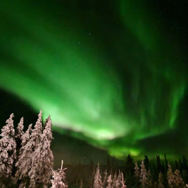 Northern Lights Snowshoe Hike in Levi with Latvian Guide - What you learn about Lapland along the way