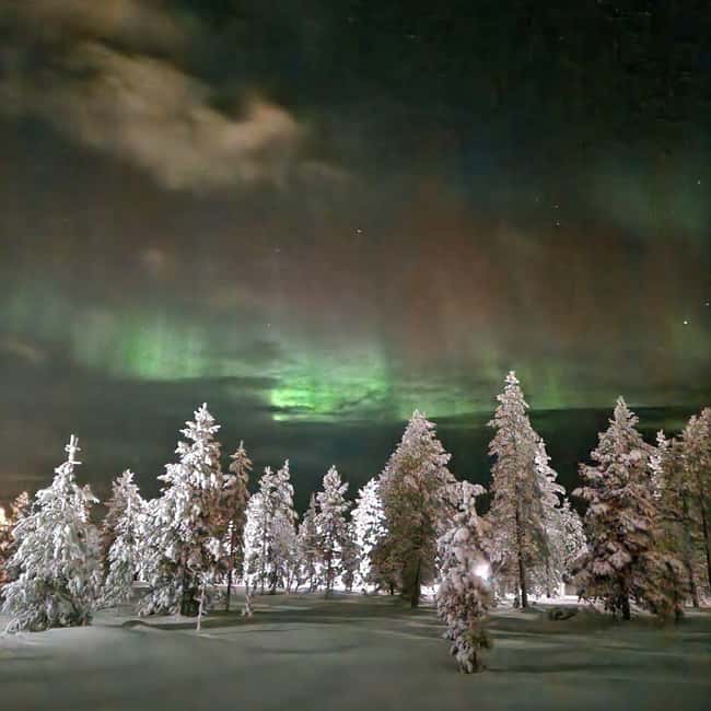 Northern Lights Snowshoe Hike in Levi with Latvian Guide - Is $116 a fair price?