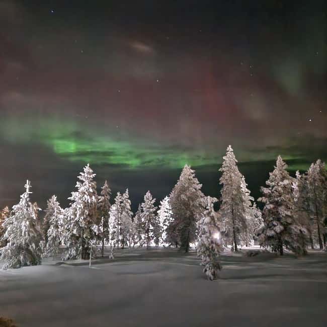 Northern Lights Snowshoe Hike in Levi with Latvian Guide - Who will enjoy this walk most?
