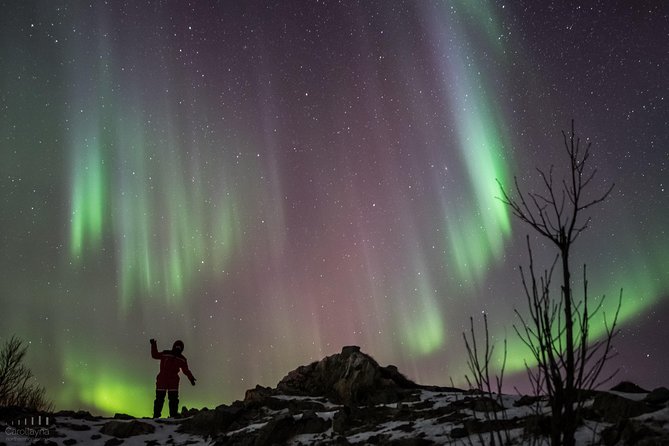 Northern Lights tour - All inclusive - Northern Horizon - What happens at the viewing stop