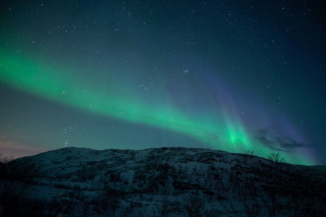 Northern Lights Tour from Kiruna to Abisko with Dinner - What the guides add to the evening