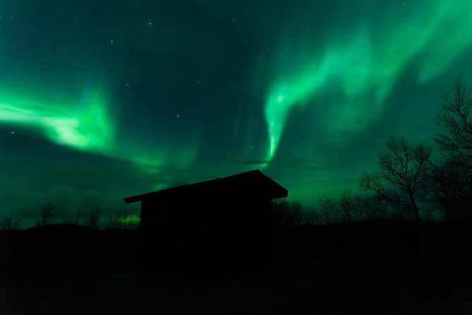 Northern Lights Tour from Kiruna to Abisko with Dinner - Free photographs beneath the aurora