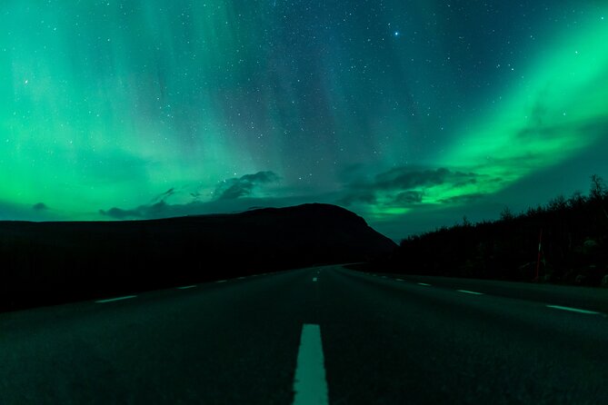 Northern Lights Tour from Kiruna to Abisko with Dinner - How much value do you get for $278.79?