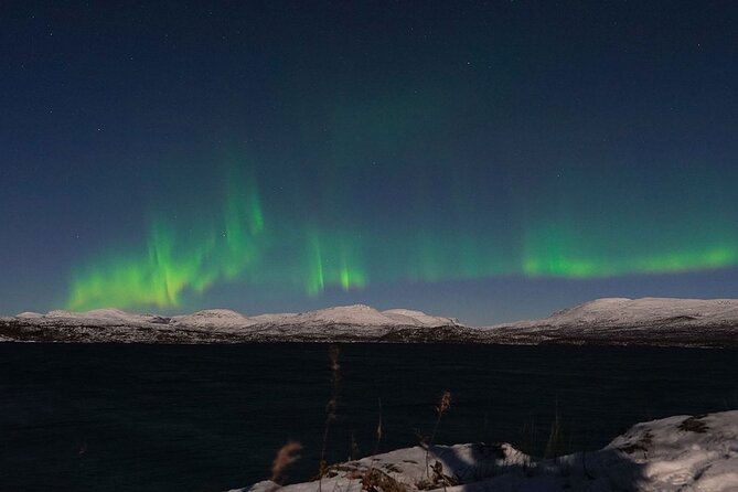 Northern Lights Tour from Kiruna to Abisko with Dinner - Cold, waiting, and the physical demands