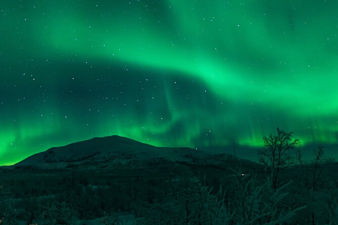 Northern Lights Tour from Kiruna to Abisko with Dinner - Who should book this Kiruna aurora tour?