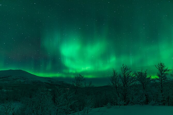 Northern Lights Tour from Kiruna to Abisko with Dinner - Five hours in Abisko National Park