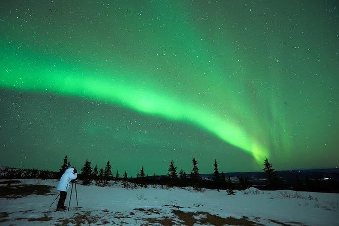 Northern Lights Tour from Reykjavik with Lifetime Guarantee - Key points at a glance
