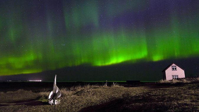 Northern Lights Tour from Reykjavik with Lifetime Guarantee - Chasing the aurora beyond Reykjavik