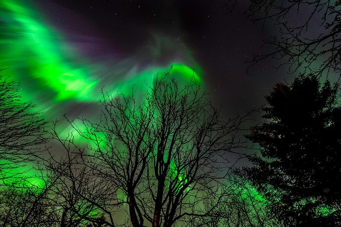 Northern Lights Tour from Reykjavik with Lifetime Guarantee - What happens on the coach