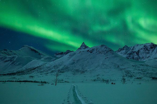 Northern Lights Tour from Tromsø - Why this tour is more than a fixed aurora stop