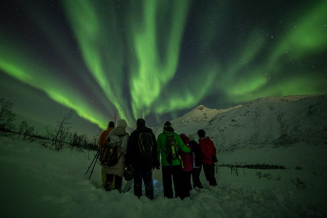 Northern Lights Tour from Tromsø - The hard nights and what you are paying for