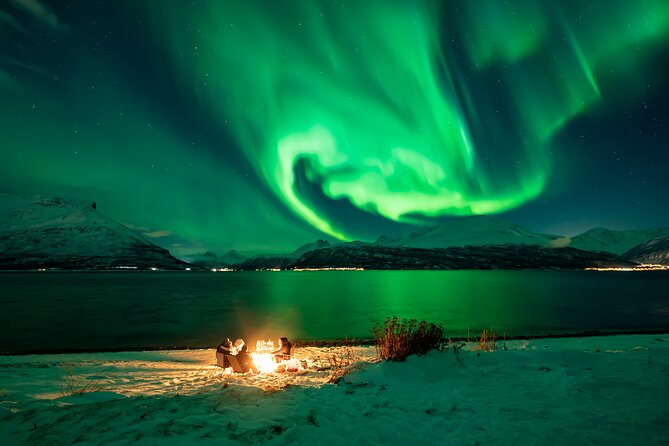 Northern Lights Tour, Photo, Toilet, Meal, Skycam in Mbus - A serious aurora chase from Tromsø