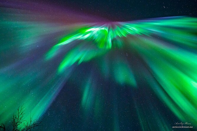 Northern Lights Tour, Photo, Toilet, Meal, Skycam in Mbus - Finding a clear patch near Finland