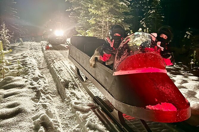 Northern Lights Tour Sleigh Ride - A snowmobile-pulled sleigh into the forest